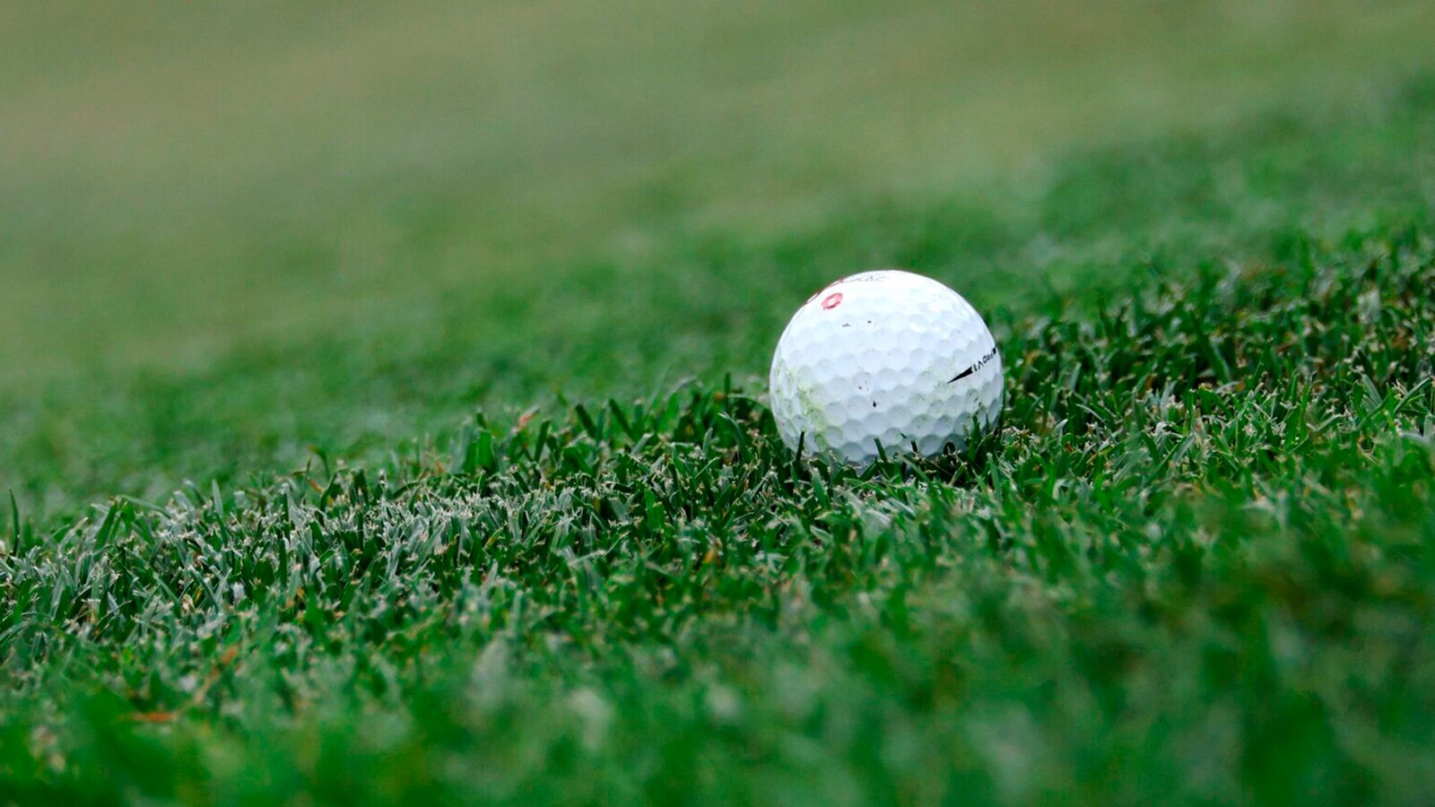 U.S. Women's Amateur