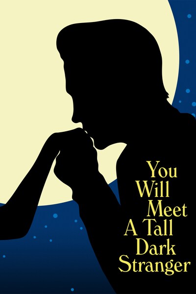 you-will-meet-a-tall-dark-stranger-2010