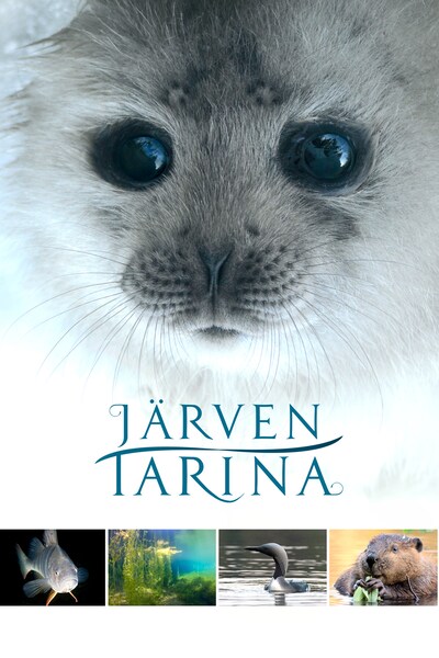 jarven-tarina-2016