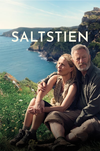saltstien-2024