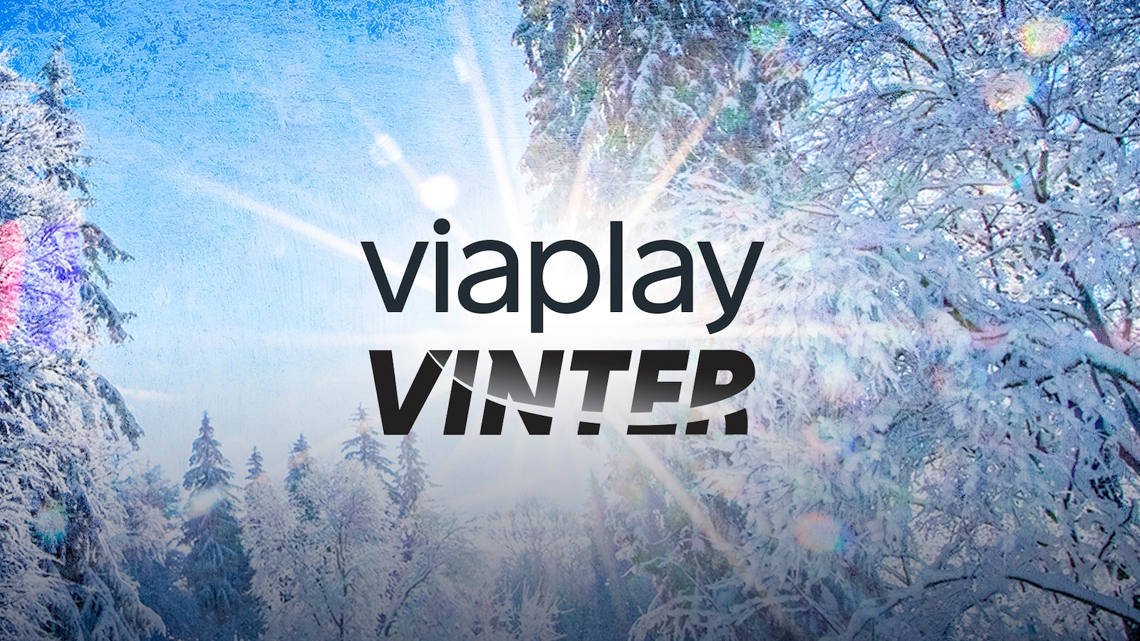 Viaplay Vinter-studio