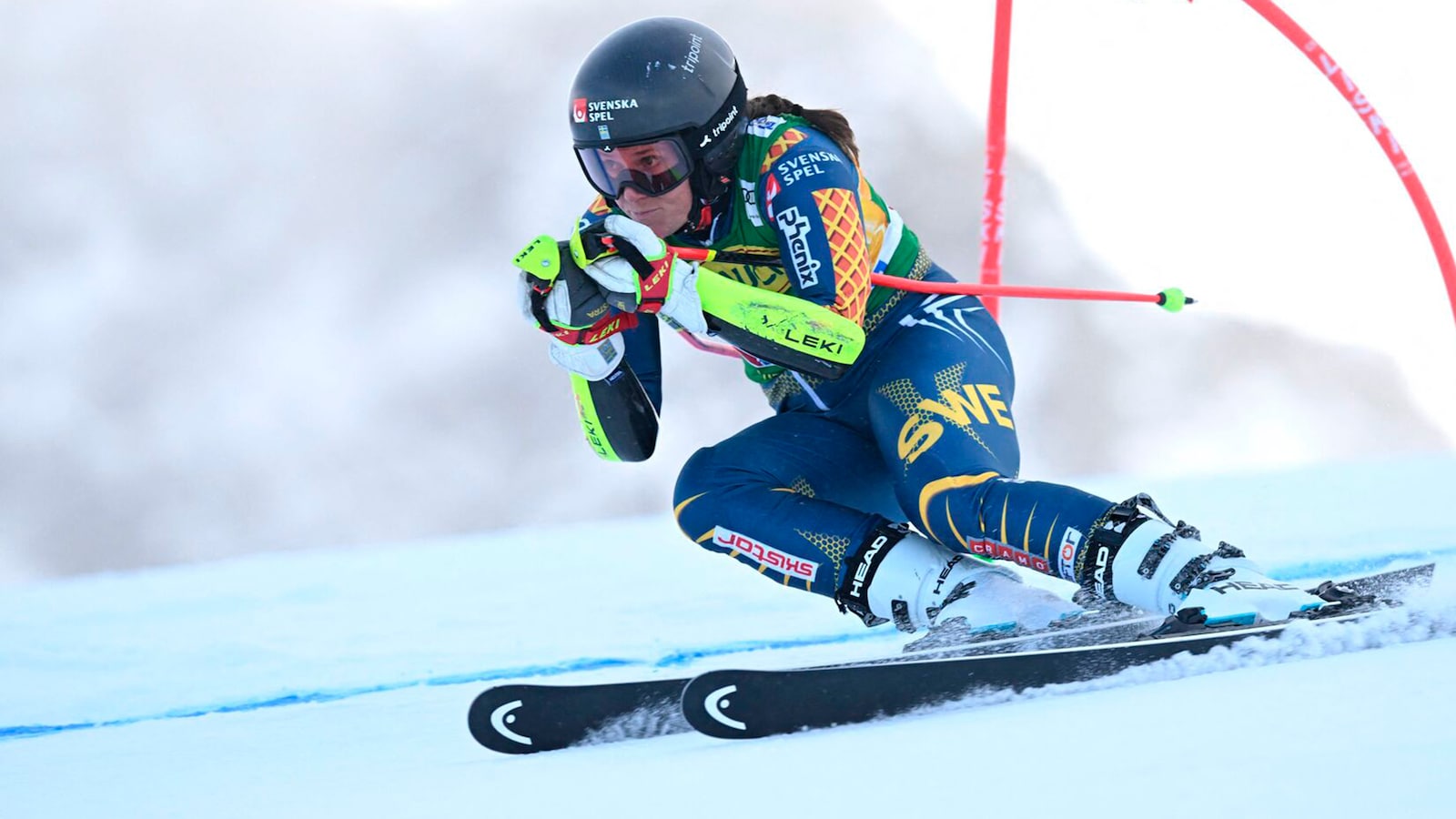 Storslalom åk 2 (D)