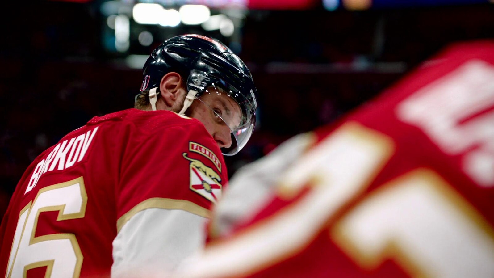 Road to the NHL Winter Classic